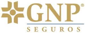 GNP